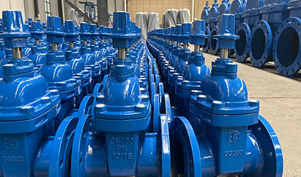 Malaysian municipal procurement of water treatment valves