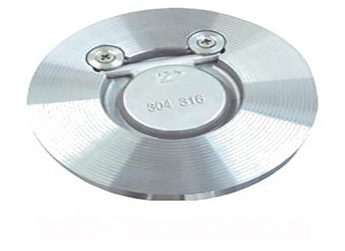 Class150-900/PN16-PN100 H74 Spring type wafer single-disc swing check valve