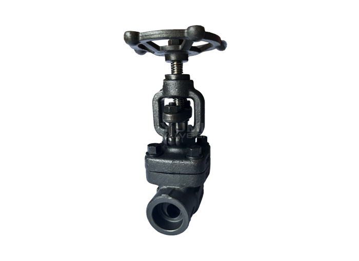 Forged steel welding globe valve