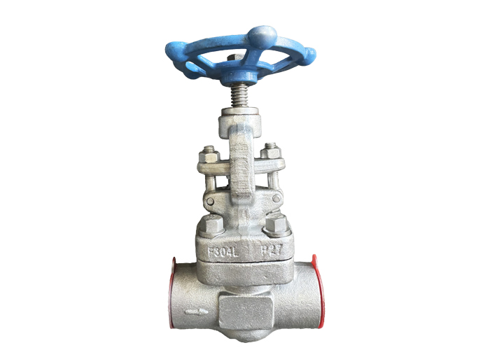 F304/F316 forged steel socket welding globe valve