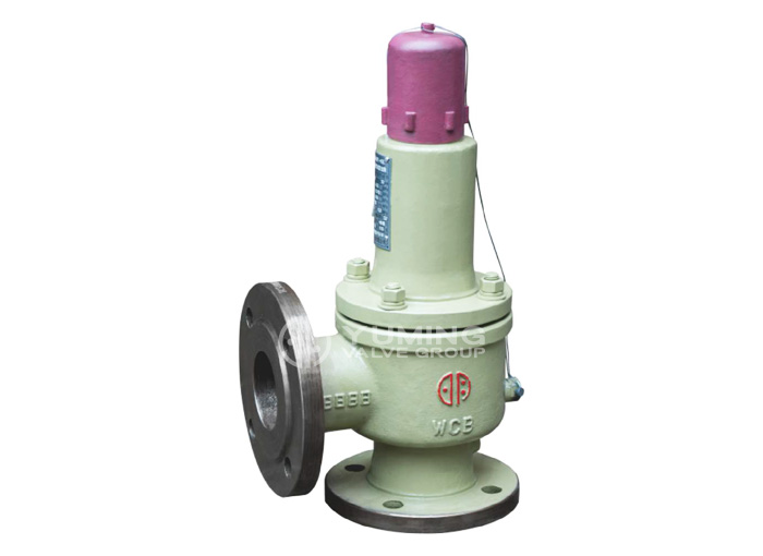 Liquefied Petroleum Gas Safety Valve