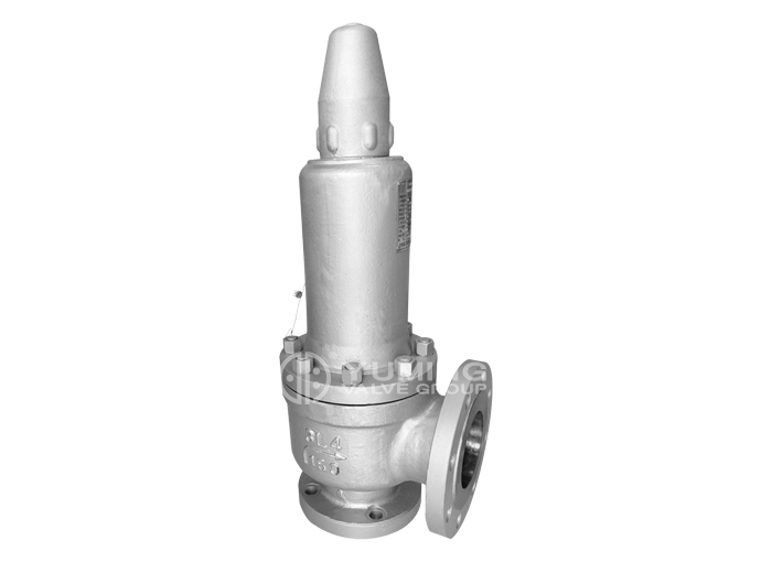 ANSI standard safety valve