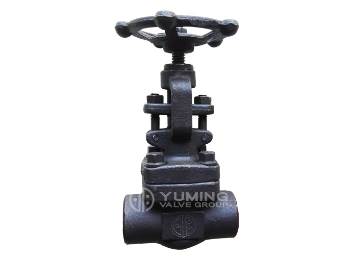 Forged steel welding globe valve