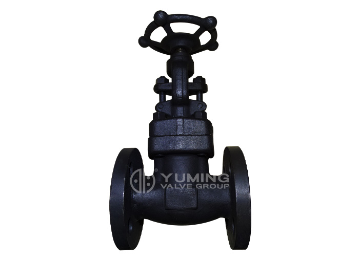 Forged steel flange globe valve