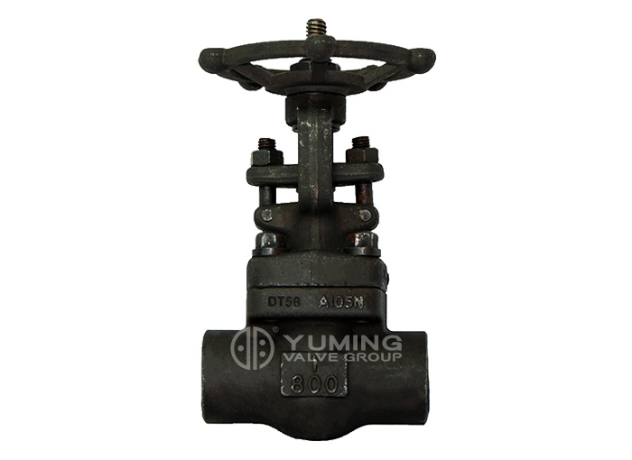 Rising stem forged steel gate valve