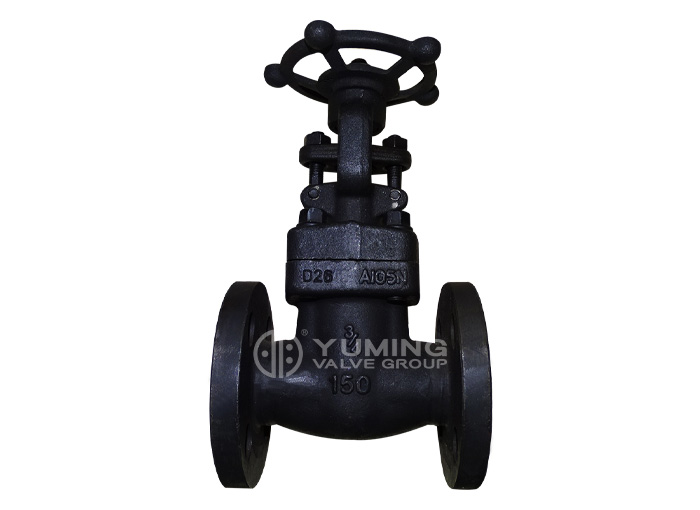 Forged steel flange gate valve