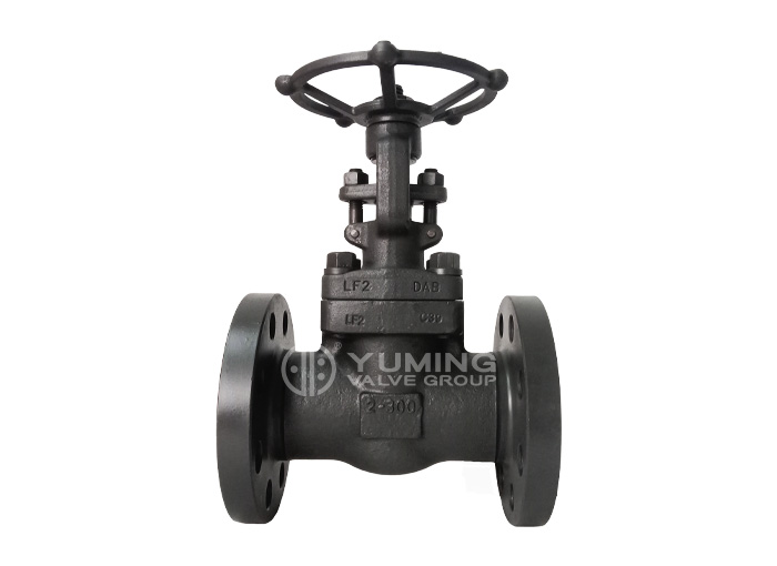 Forged steel flange gate valve