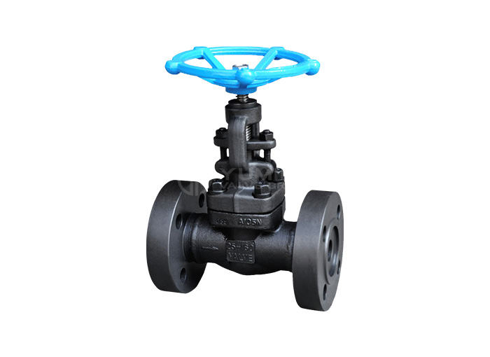 Forged steel flange globe valve