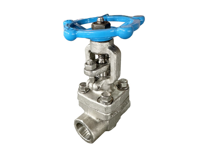 F304 socket welding gate valve api 602
