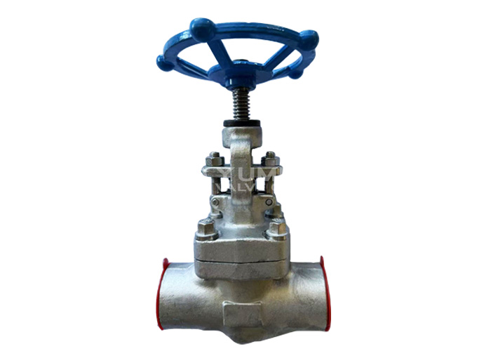F304/F316 forged steel socket welding globe valve