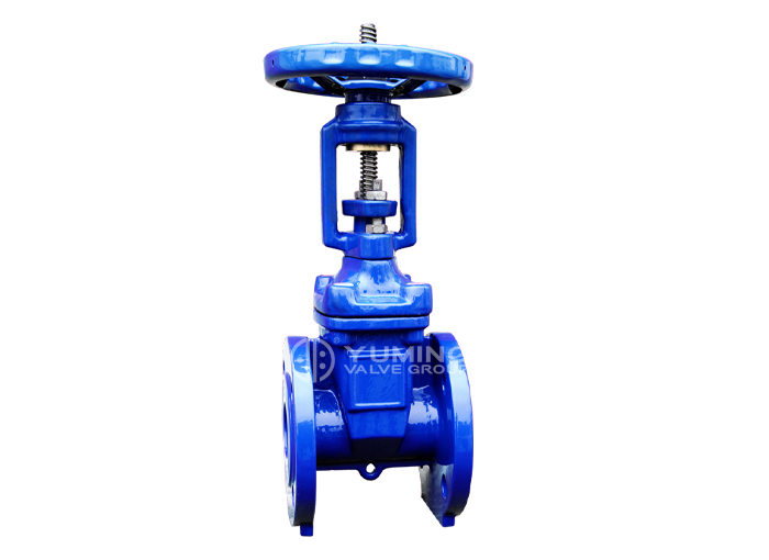 Soft Seal flange gate valve