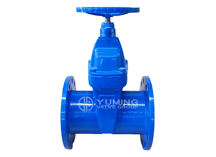 BS5163 DI gland resilient gate valve