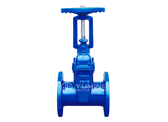 BS5163 Rising stem Resilient soft seal gate valve