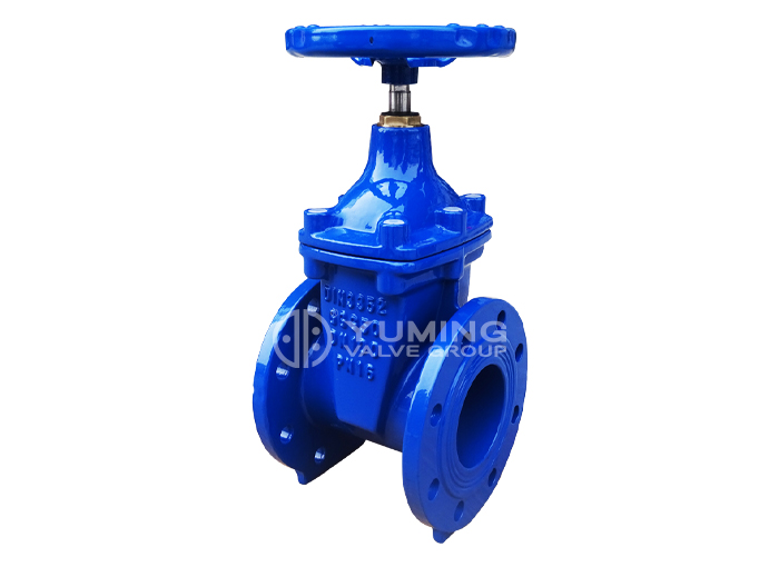 DIN 3352 F4 Resilient Seated Flanged Gate Valves