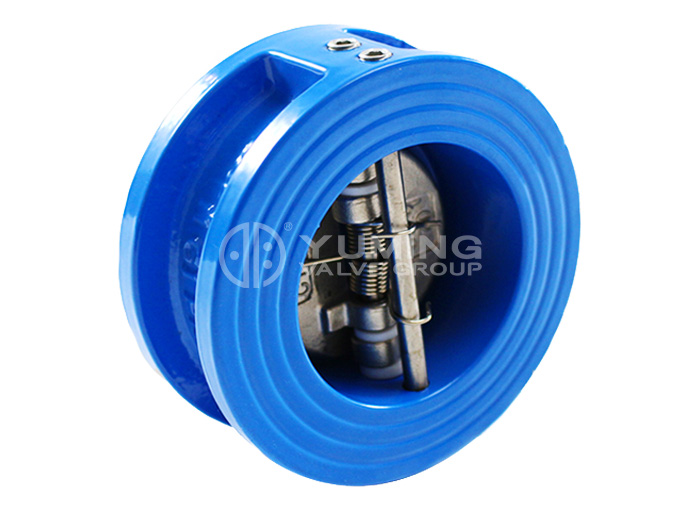 Ductile Iron Check Valve