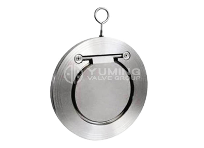 Single Door Check Valve