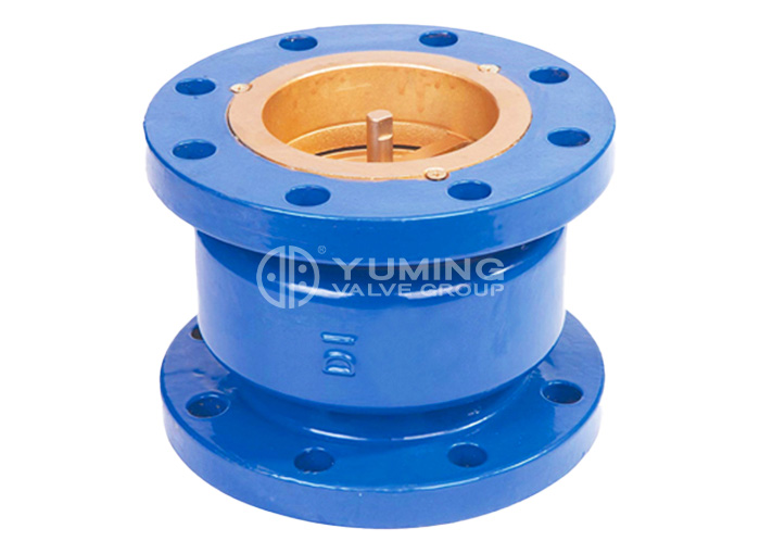Silent Check Valve
