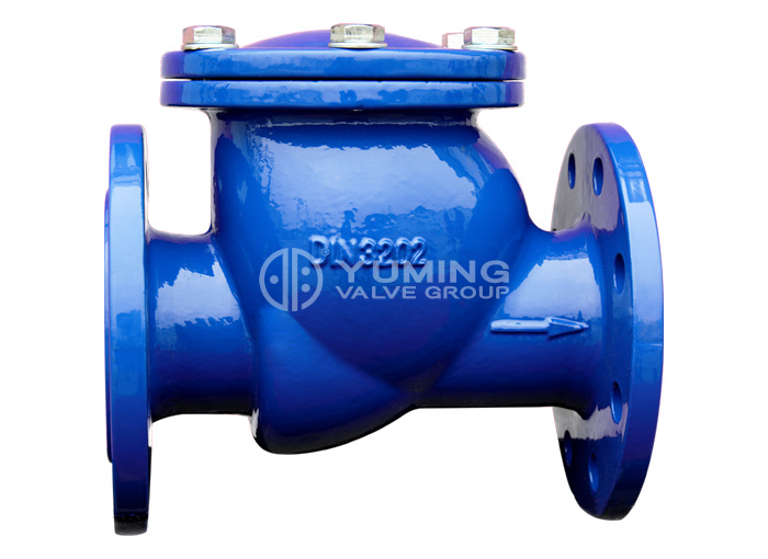 DIN swing cast iron Check Valve for water