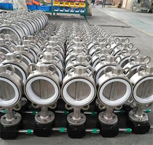 Stainless Steel wafer Butterfly Valve