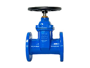 BS5163 DI gland resilient gate valve