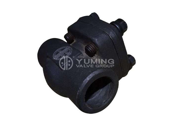 Forged steel check valve