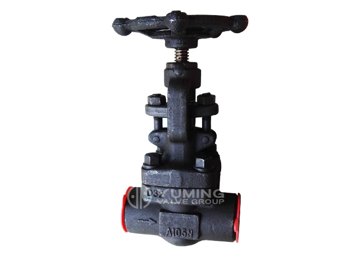 Forged steel welding globe valve
