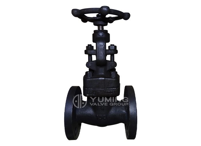 Forged steel flange globe valve