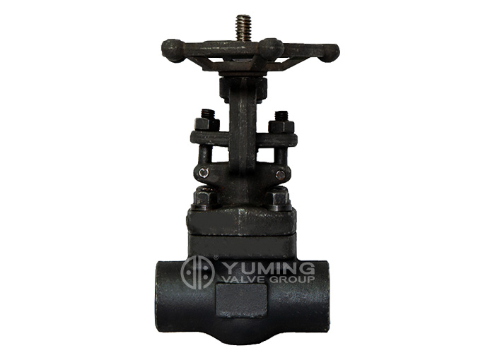 Rising stem forged steel gate valve