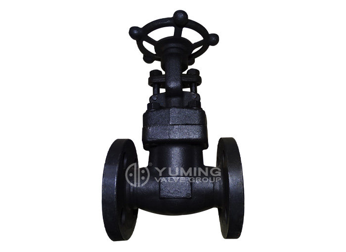 Forged steel flange gate valve