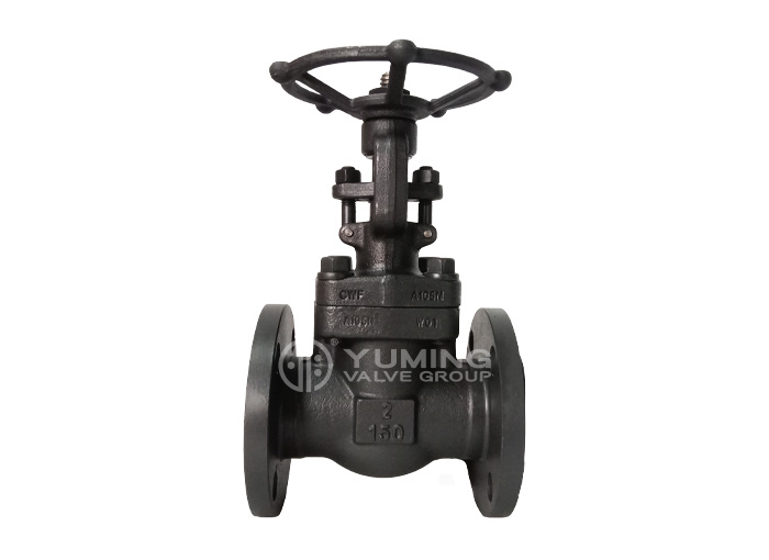 Forged steel flange gate valve