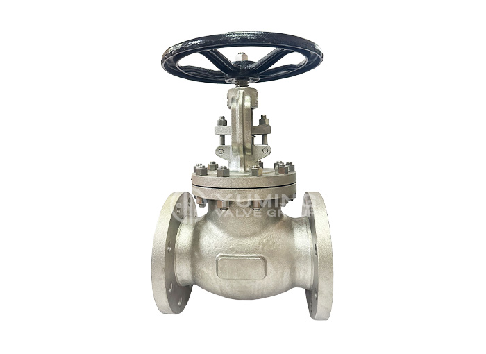 API Standard Globe Valve