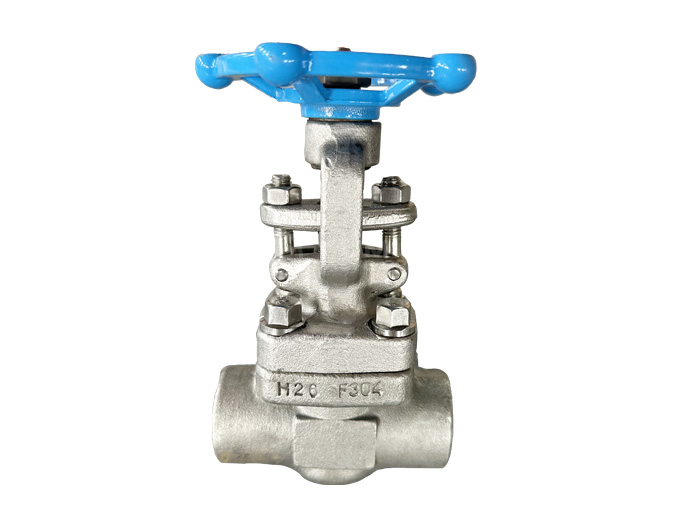 F304 socket welding gate valve api 602