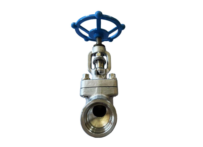 F304/F316 forged steel socket welding globe valve