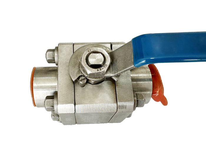 Forged 3PC Ball valve class 800 F304L