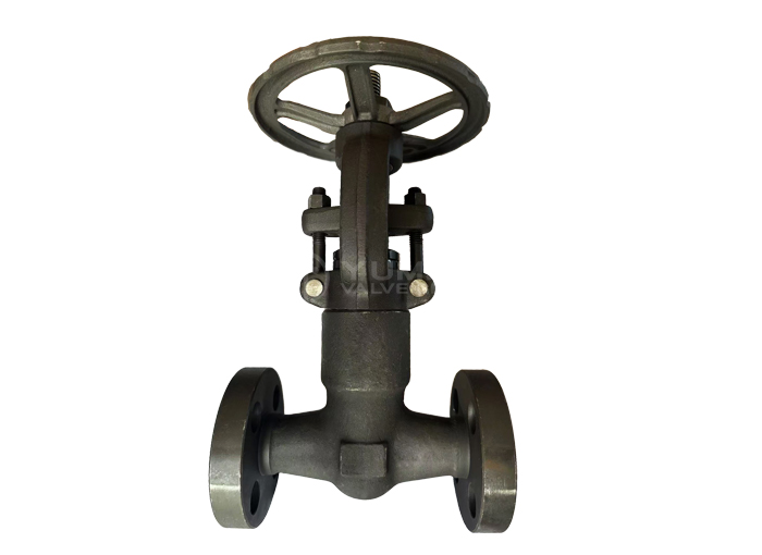 API 602 Forged Steel Pressure Seal Gate Valve A105