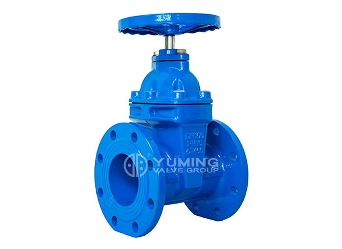 BS5163 DI gland resilient gate valve