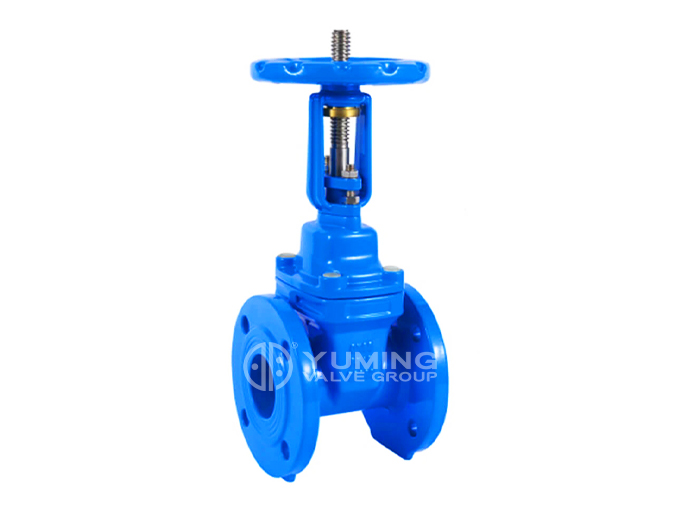 BS5163 Rising stem Resilient soft seal gate valve