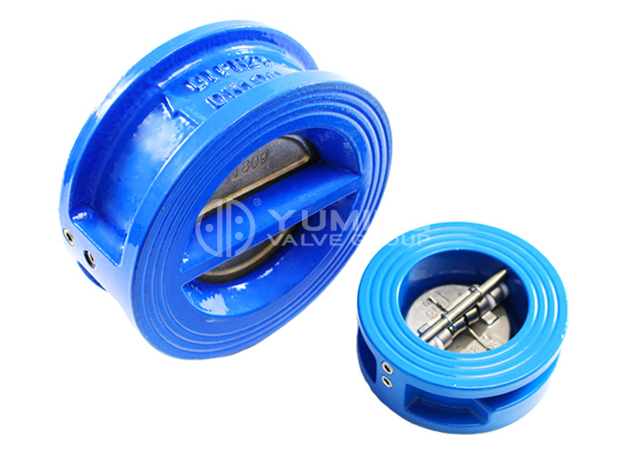 Ductile Iron Check Valve