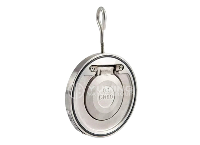 Single Door Check Valve