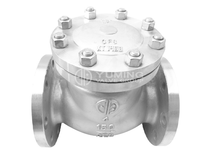 ANSI Swing Stainless steel flange Check Valve