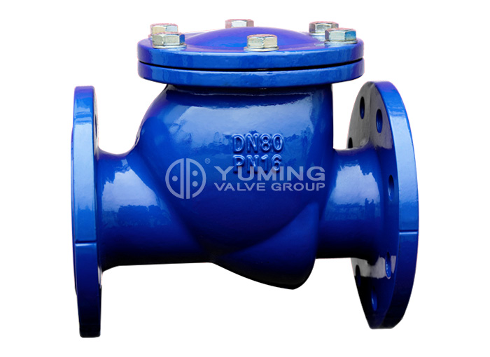 DIN swing cast iron Check Valve for water