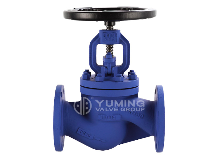 DIN Globe Valve