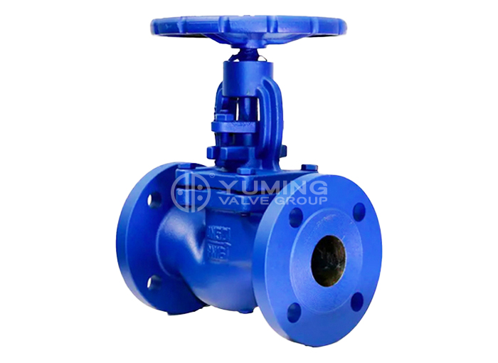 Bellows Globe Valve