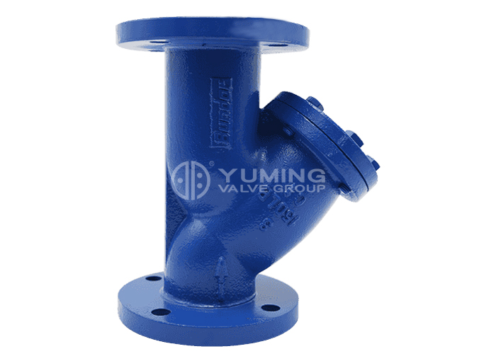 ANSI Class 125 Y Strainer