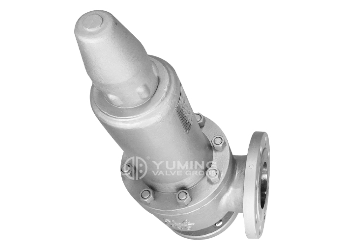 ANSI standard safety valve