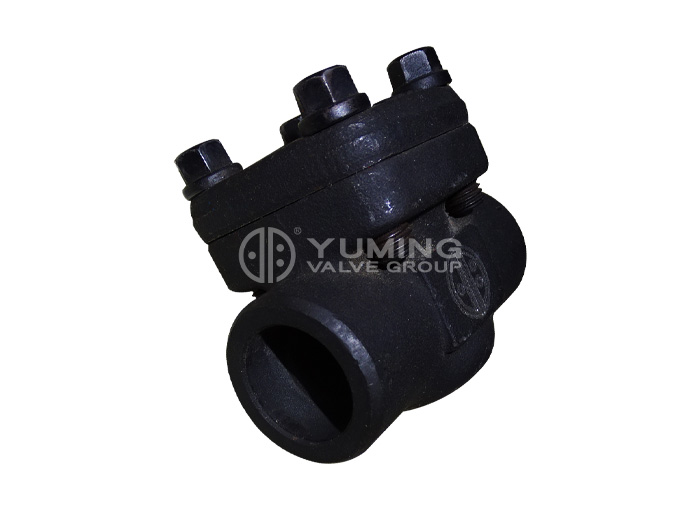 Forged steel check valve