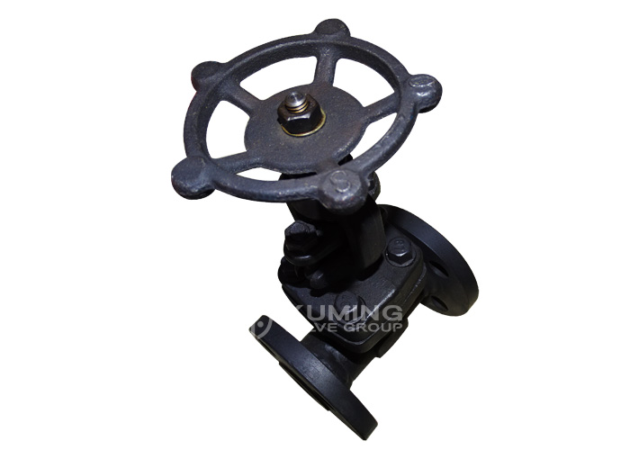 Forged steel flange globe valve