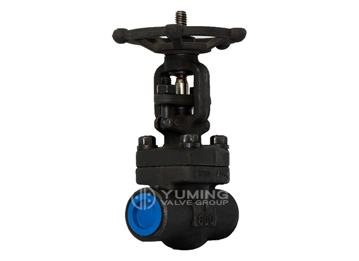 Rising stem forged steel gate valve