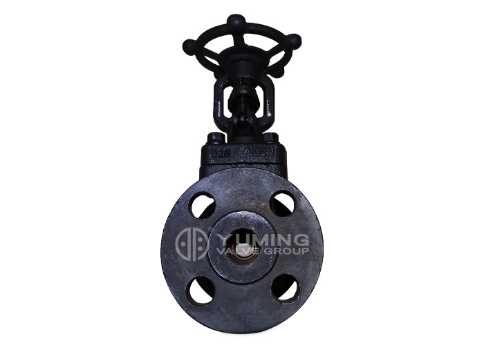 Forged steel flange gate valve
