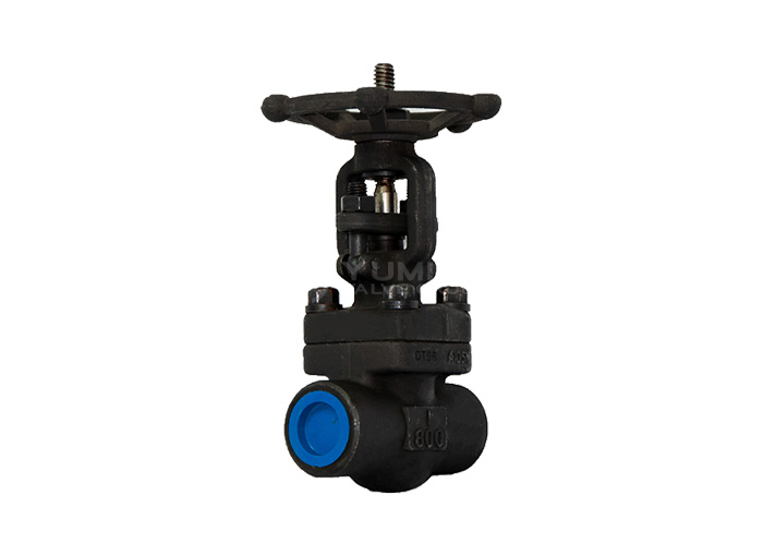 Forged Steel Gate Valve